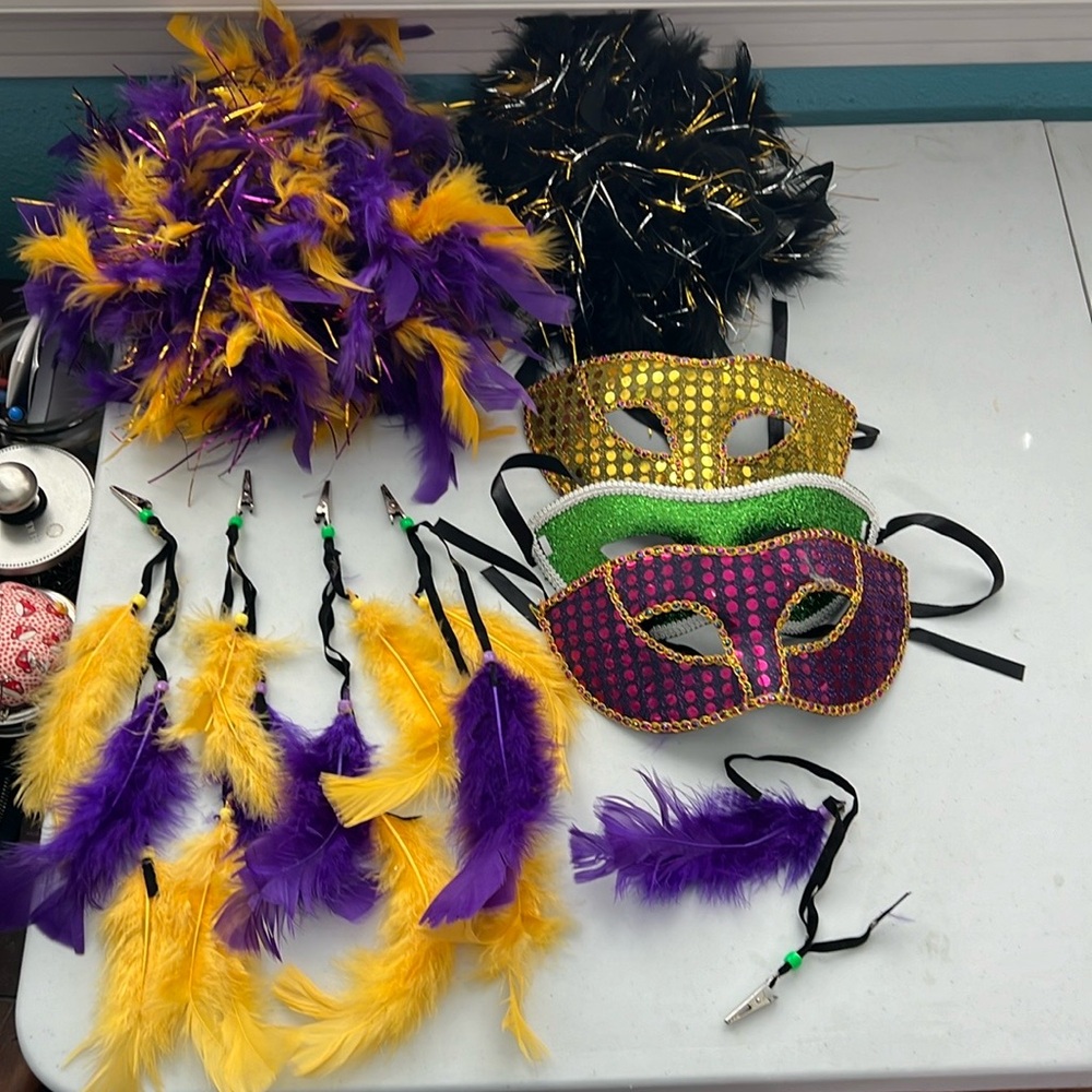 Mardi Gras-party in a box ! Everything you need !